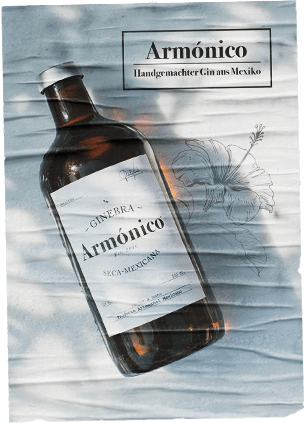 Plakat Gin Aromnico